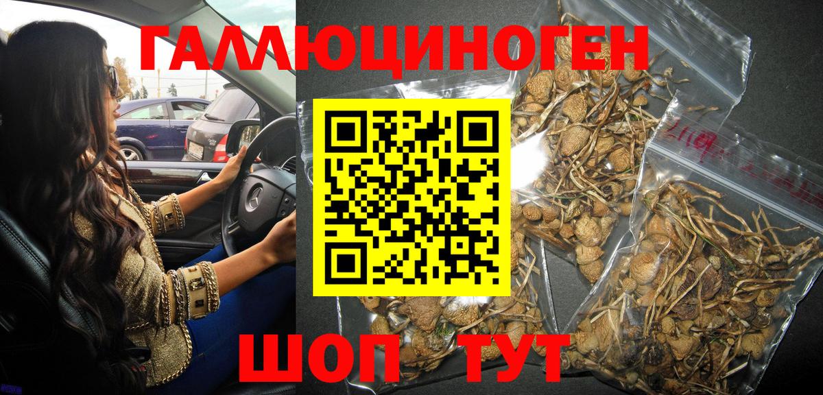 Галлюциногенные грибы мицелий Нефтекумск